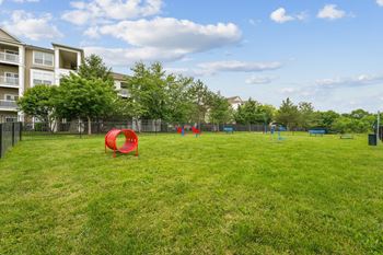Pet park